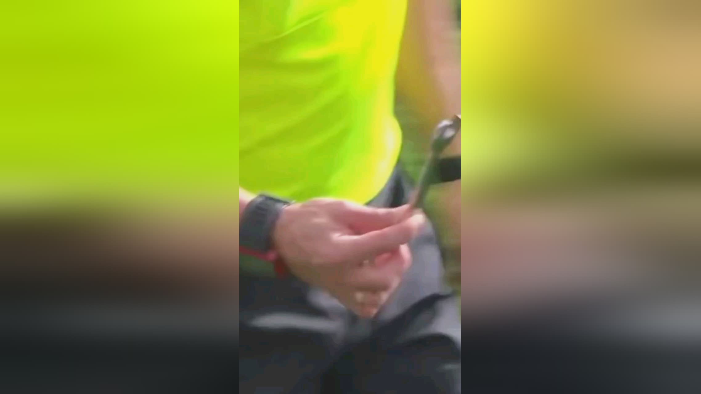 们以